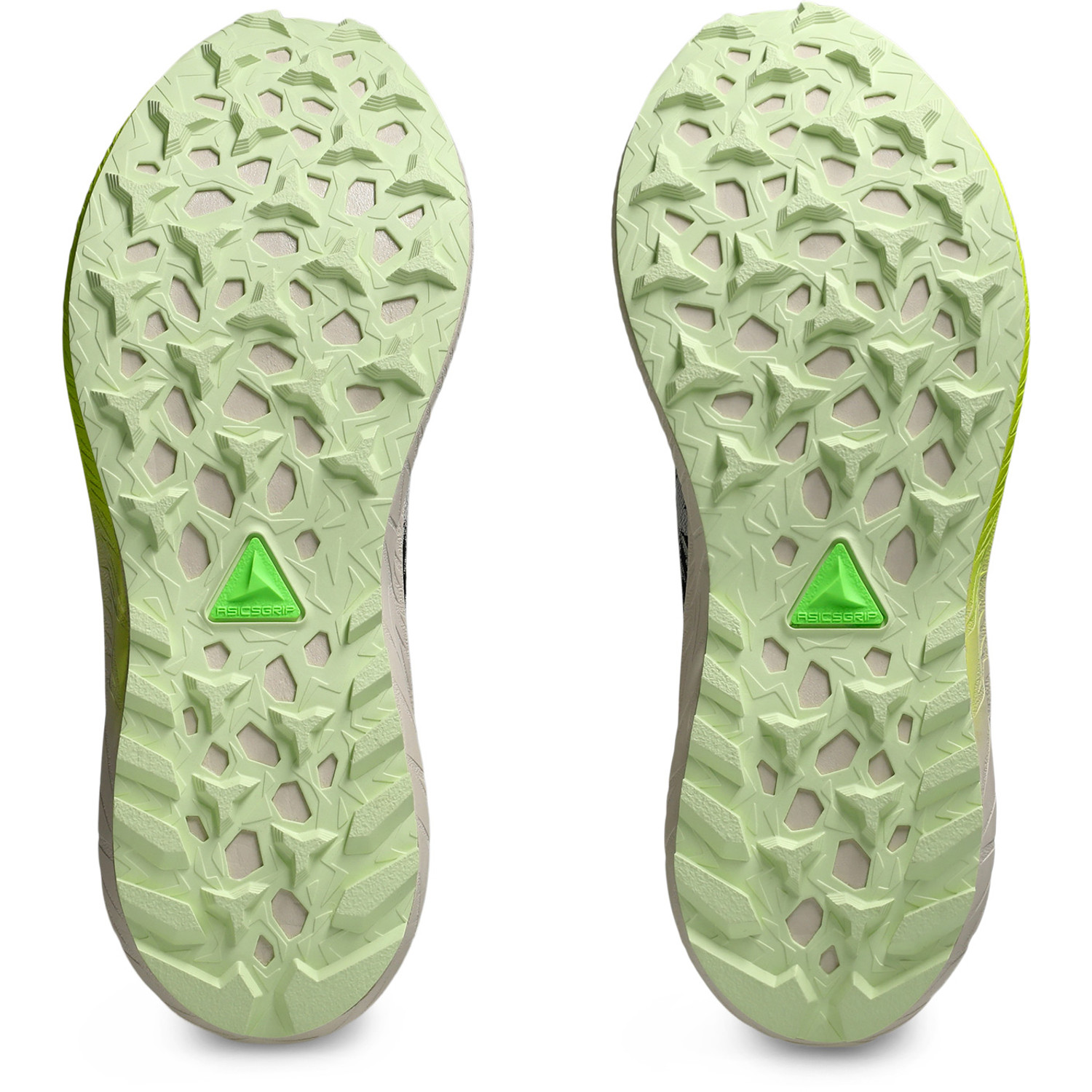 ASICS Fuji Lite 5 Dames