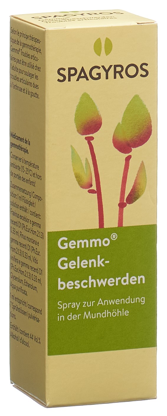 Spagyros Gelenkbeschwerden Mundspray<br>30 ml, Flasche, Spray zur Anwendung in der Mundhöhle, Lösung