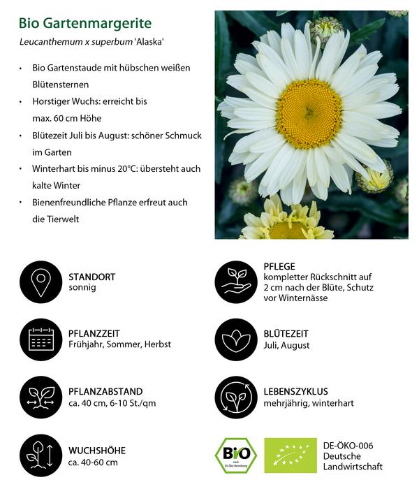 Bio Stauden-Set Bunter Landhausgarten,