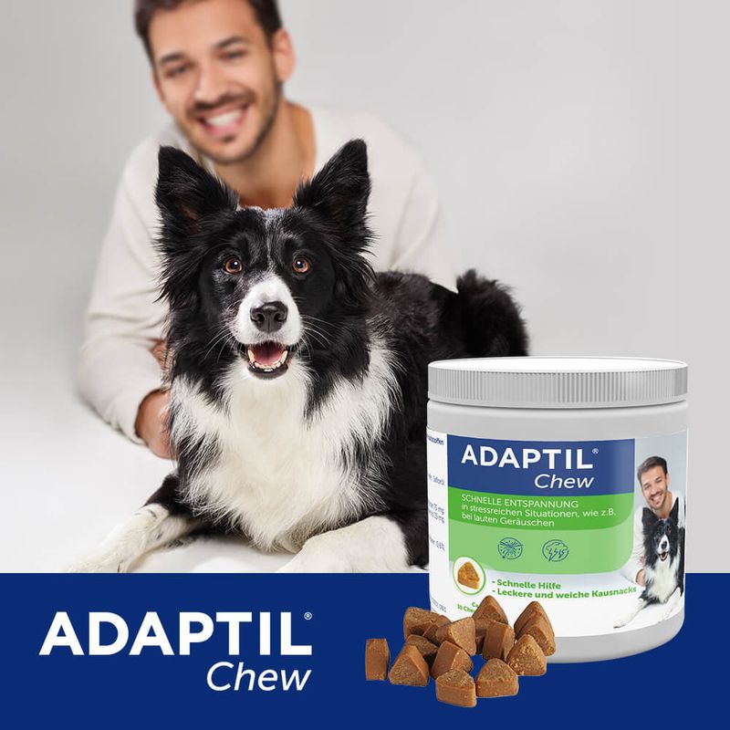 ADAPTIL Chew