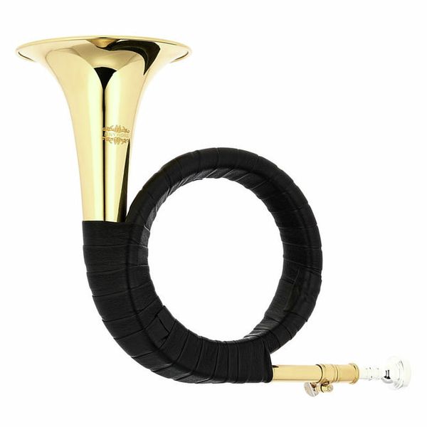 Thomann Bb- Fürst Pless Horn