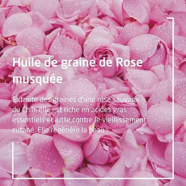 Óleo Harmonizante de Rosa Mosqueta Weleda 100ml