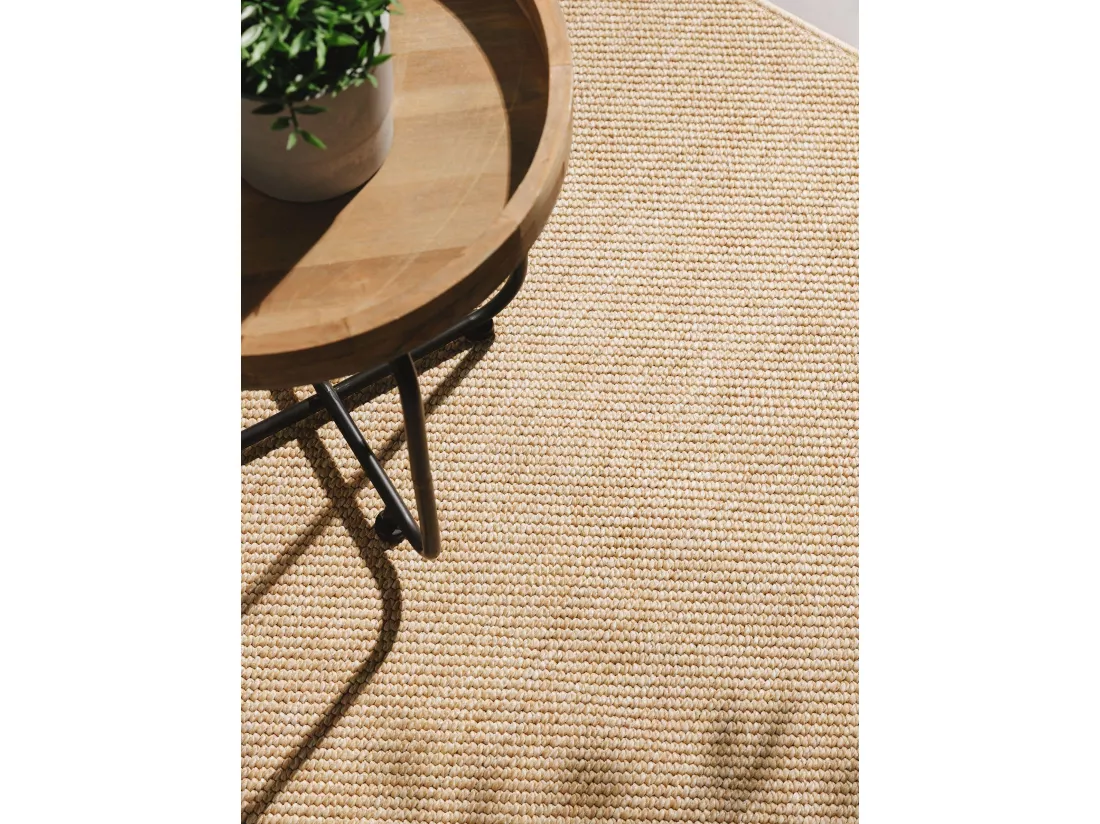 Tapis d'extérieur & intérieur Iowa Beige 120x170 cm