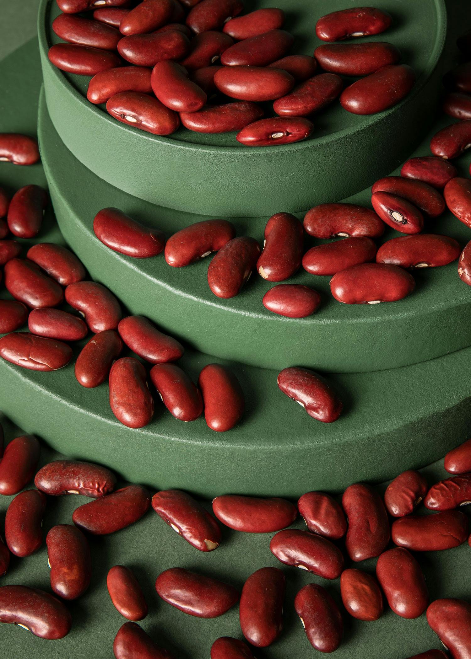 Bio Kidneybohnen 2 kg