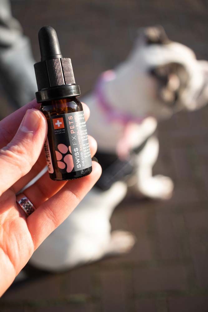 Óleo de CBD para cães 10% Carne