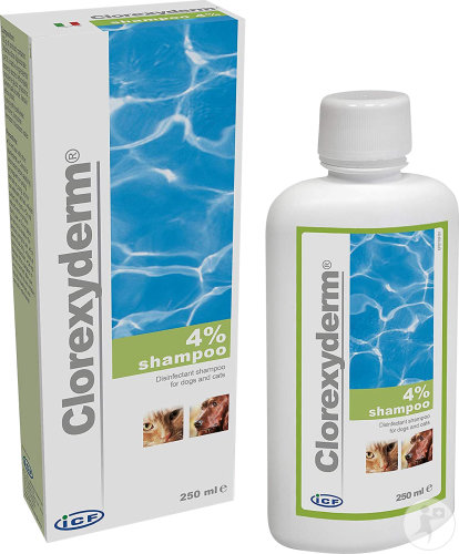MP Labo Clorexyderm Shampoing Flacon 250ml