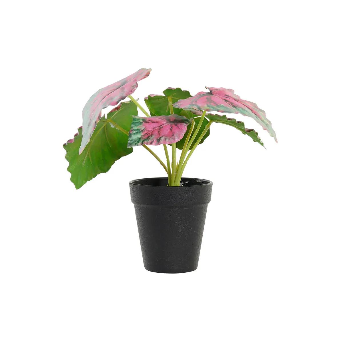 DKD Home Decor Plante Rose Vert
