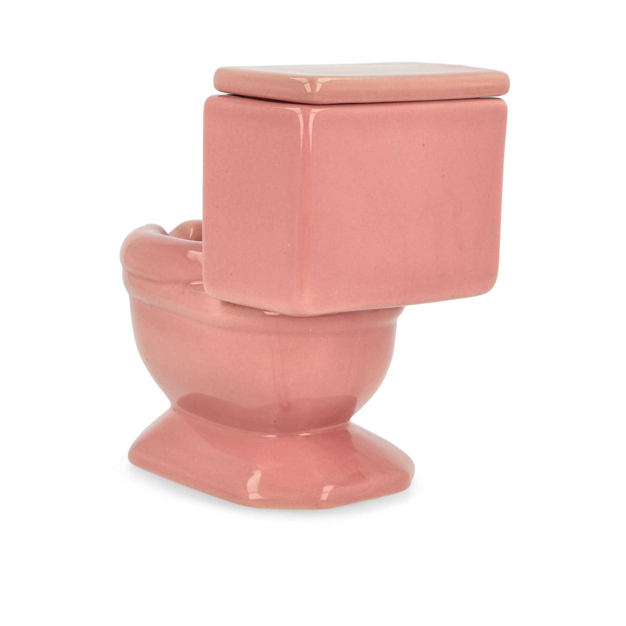 Pleasures<br>Toilet Ashtray