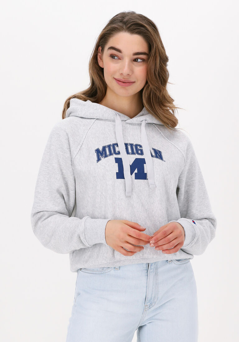 CHAMPION lichtgrijze champion trui hooded sweatshirt 115110