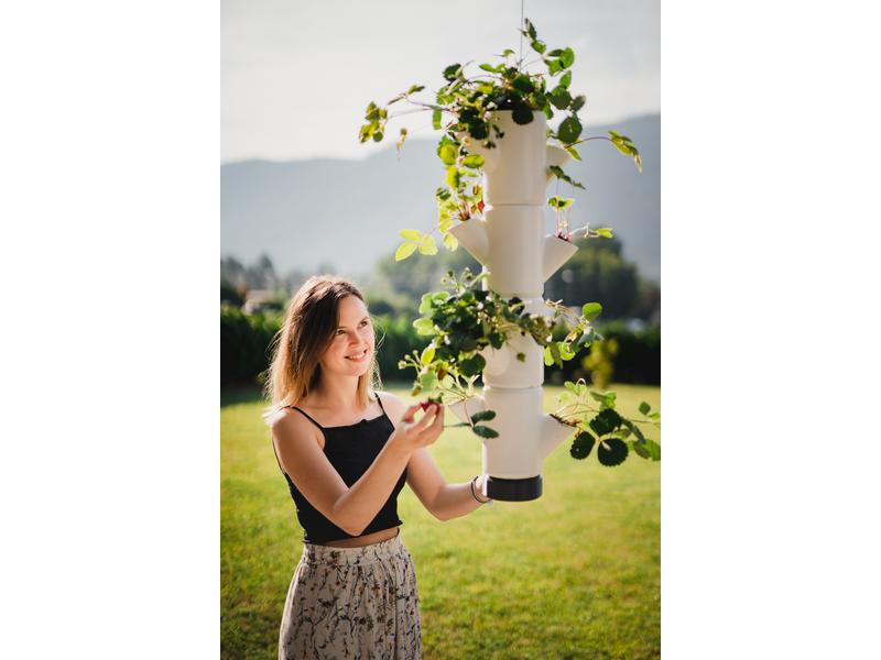 Gusta Garden Aufzuchttöpfe SISSI STRAWBERRY Hanging, Anthra Urban Gardening Erdbeerbaum