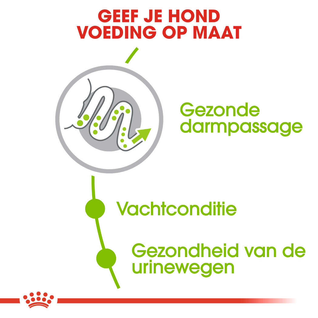 Royal Canin X-Small Adult - Hondenvoer - 3 Kilogram - gevogelte