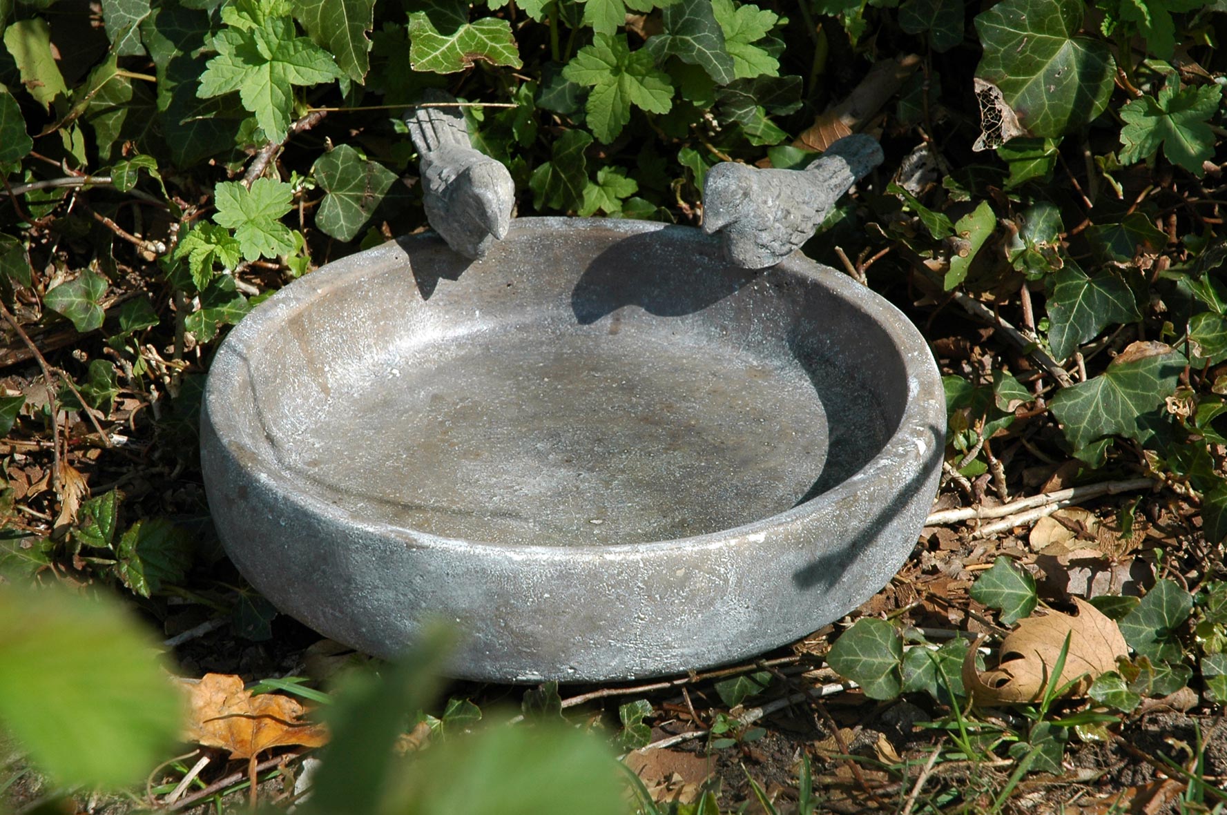 dobar Vogeltränke 