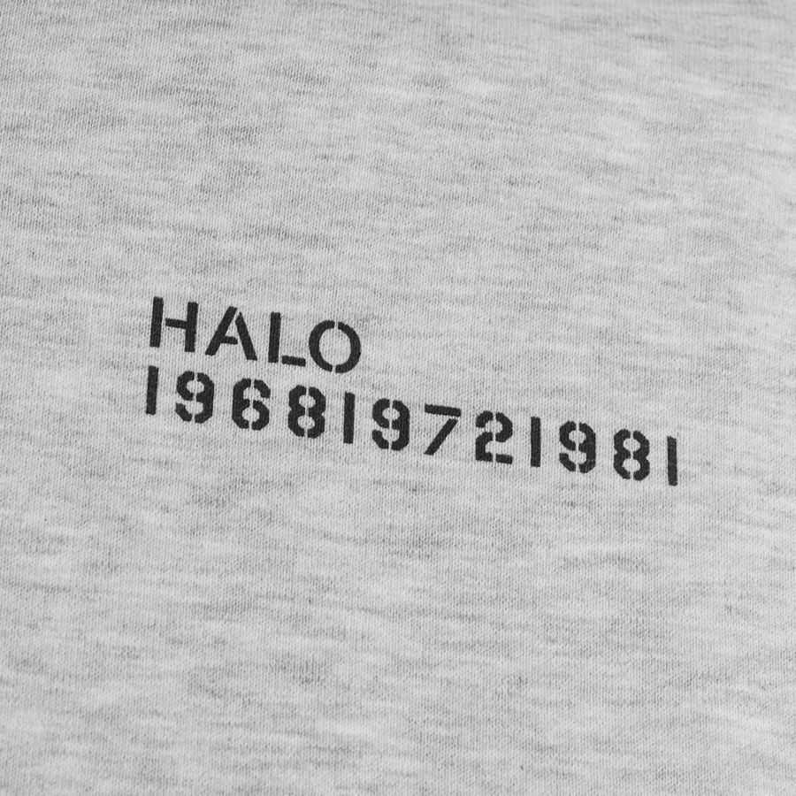HALO Cotton Sweat à Capuche - Gris