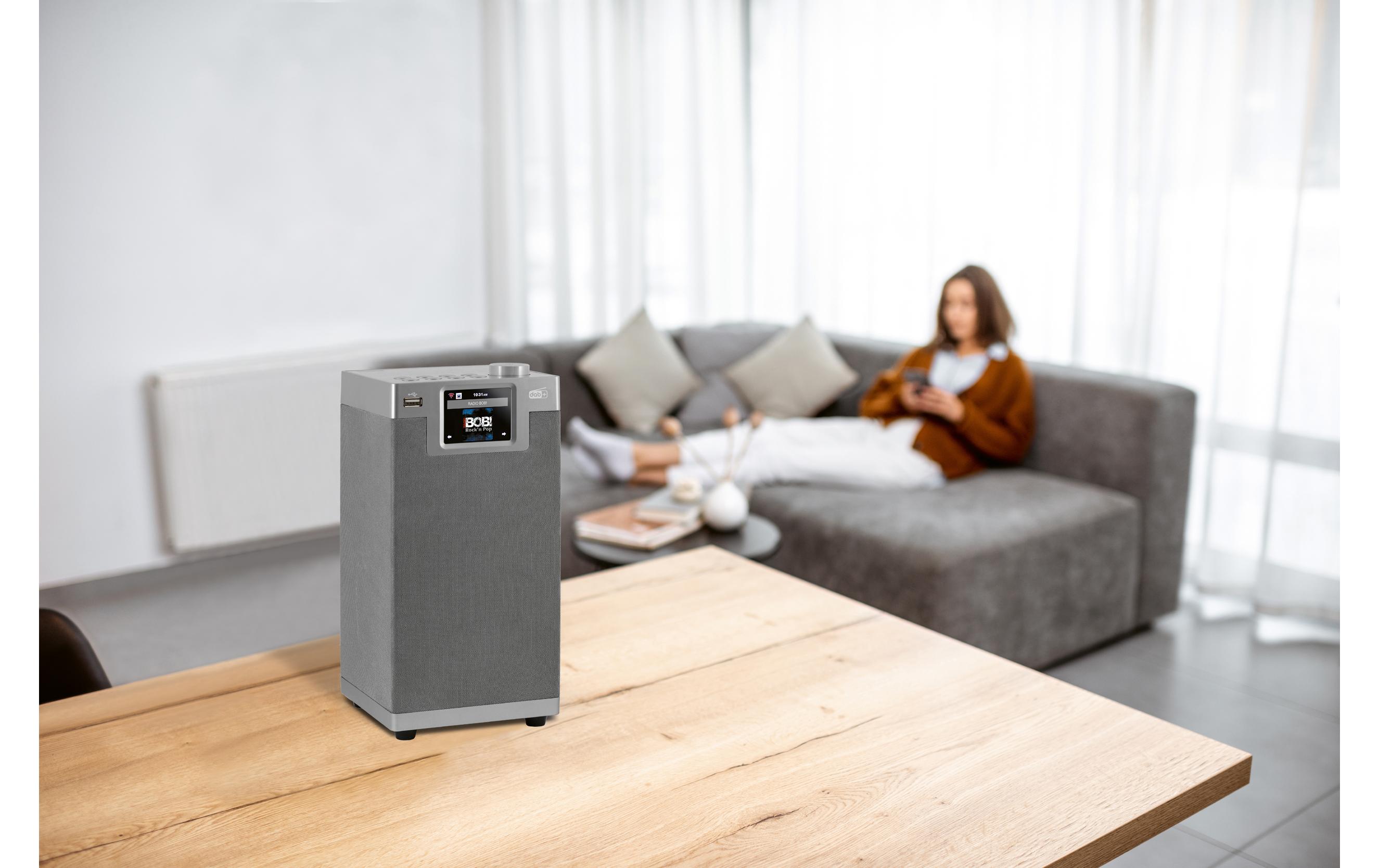 Internet Radio Dabman i610 Silber<br>Grosser Multifunktionsradio mit DAB+, FM und Internetradio