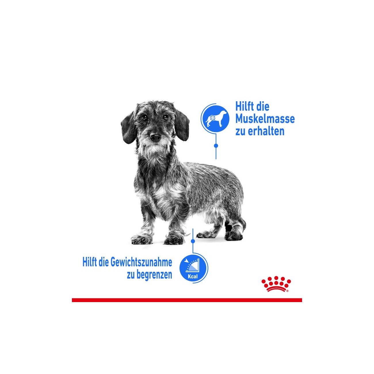 ROYAL CANIN Light Weight Care Mini 1 kg