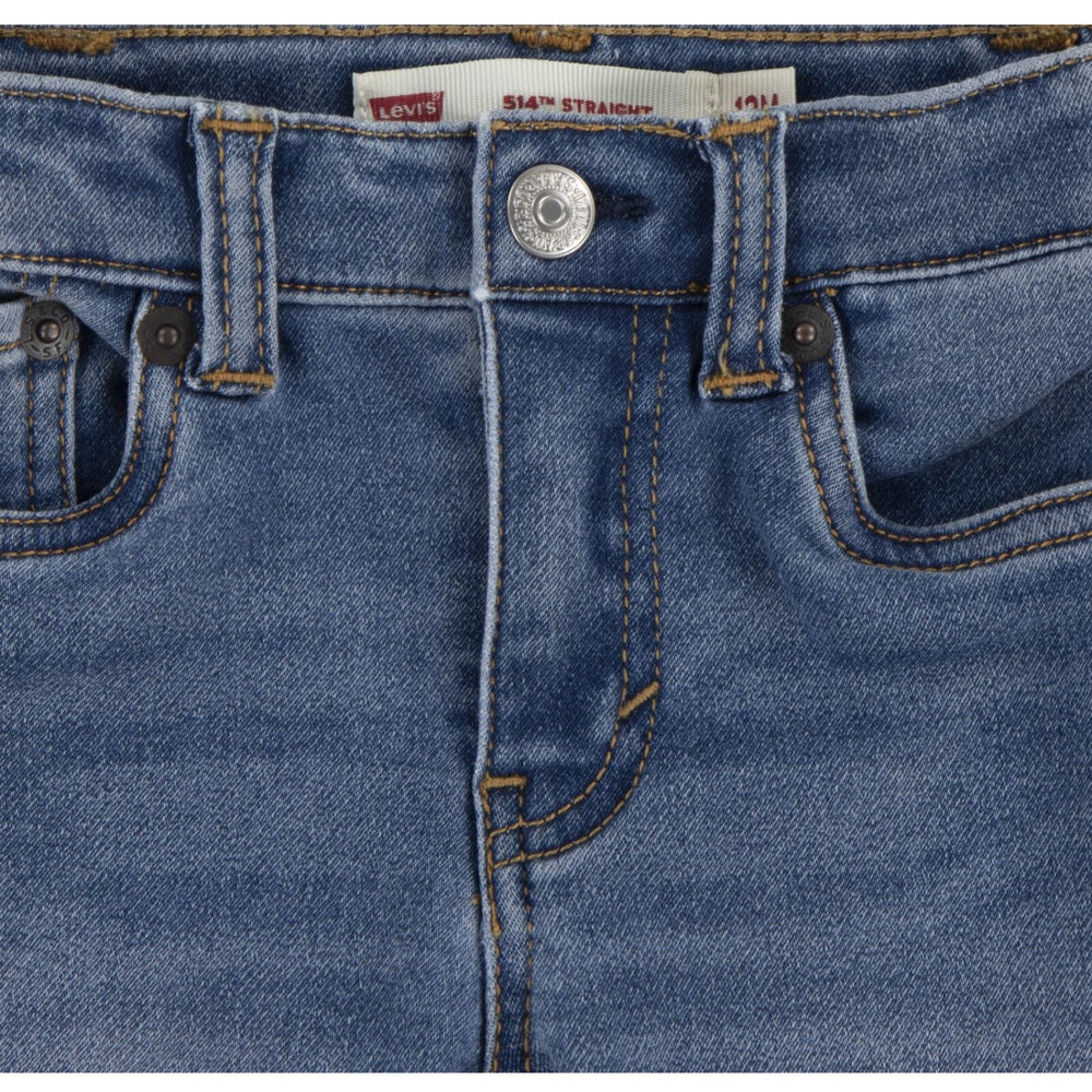 Køb Levi's The Big Cheese No Destruction Lvn My First Jeans