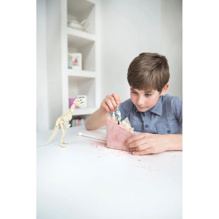 4M KidzLabs - Dinosaurier Ausgrabung Stegosaurus Mehrfarbig