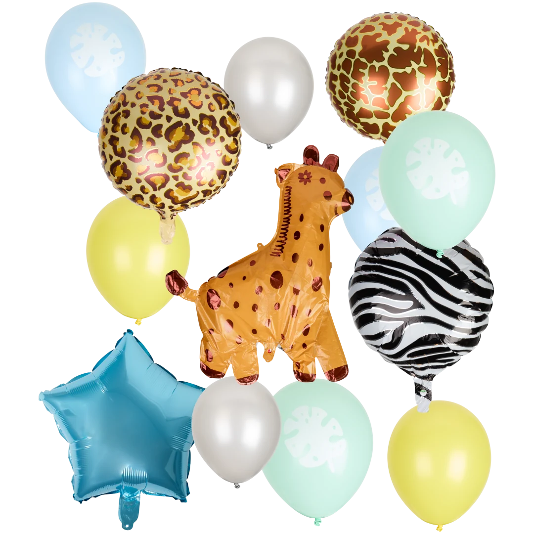 Ballonnenset 15-delig | diverse varianten