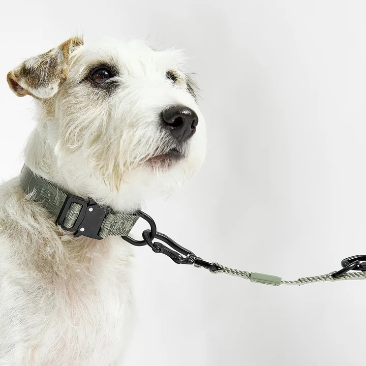 MiaCara - Modena Hundehalsband M / ML, greige