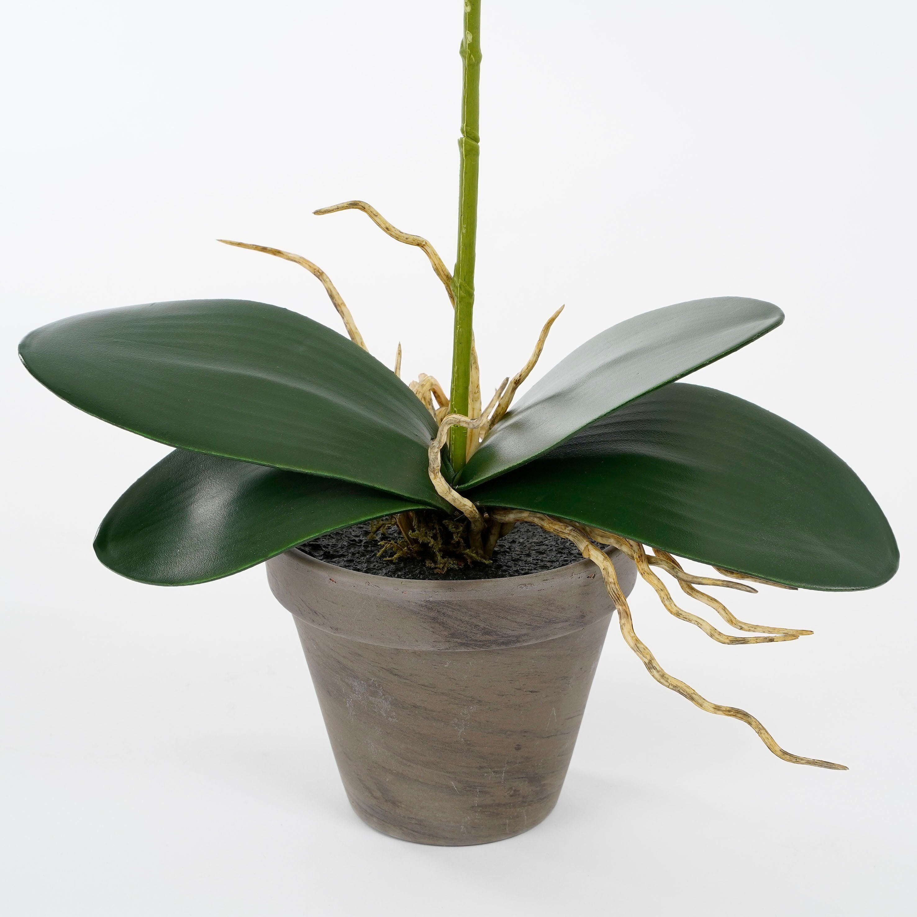 Mica Decorations Phalaenopsis Kunstplant - H48 x Ã13 cm - Wit