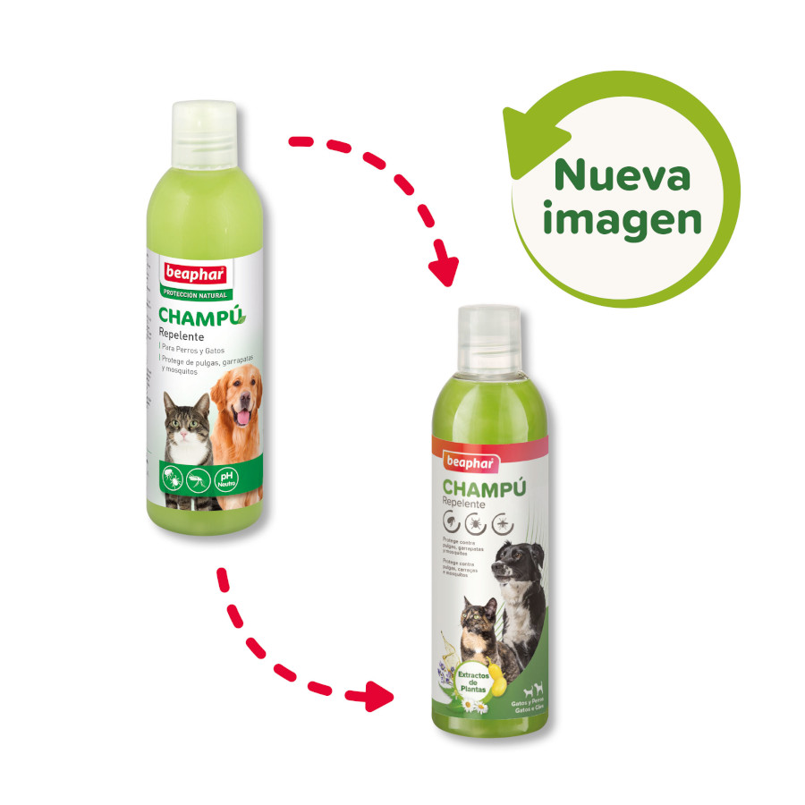Shampoo repelente Beaphar para cães e gatos