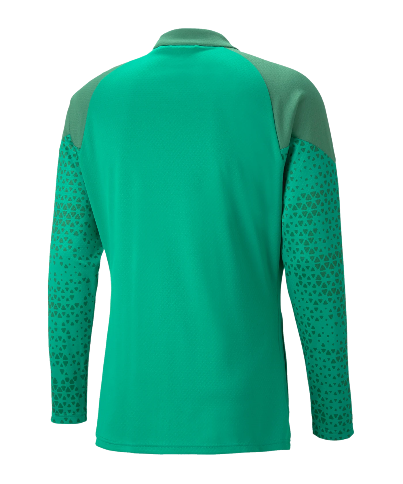 PUMA teamCUP Trainingsjacke Grün F05