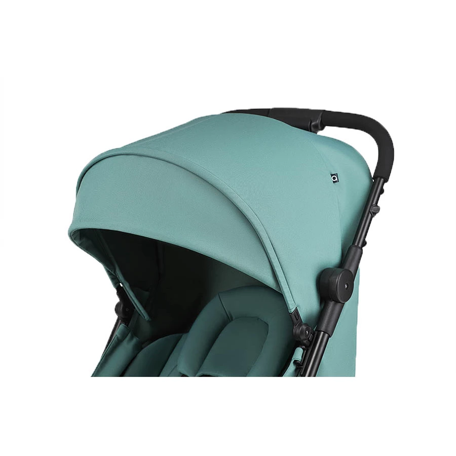 anex Buggy Air-Z Ivy 2022