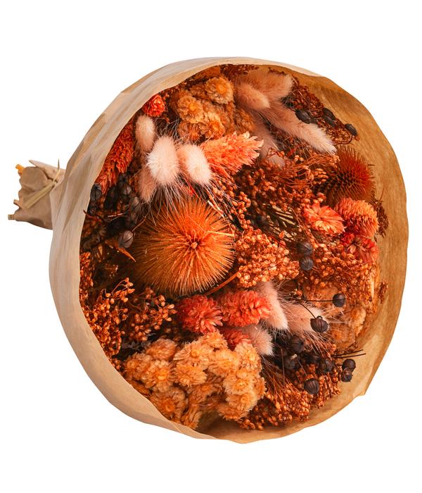 Trockenblumenbouquet Wow, terracotta