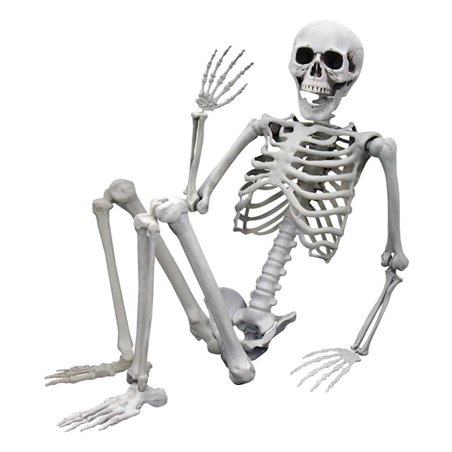 Human-size Skeleton 1.70m