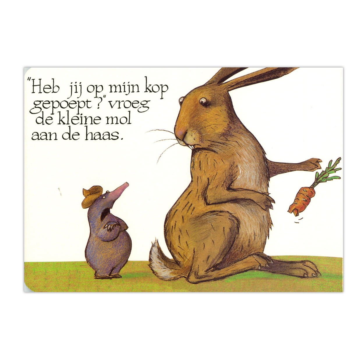 Over een kleine mol... Kartonboek