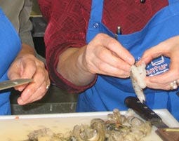 Fischkochkurs in Dresden als Geschenk