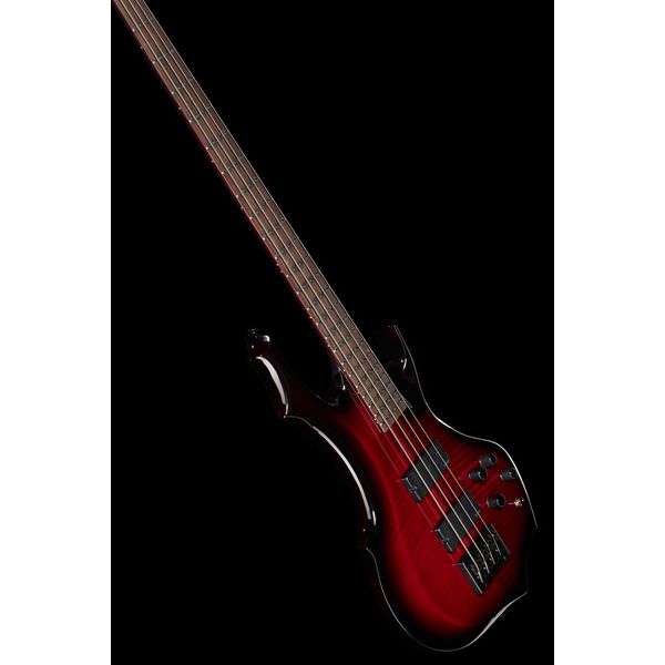 ESP LTD F-1004