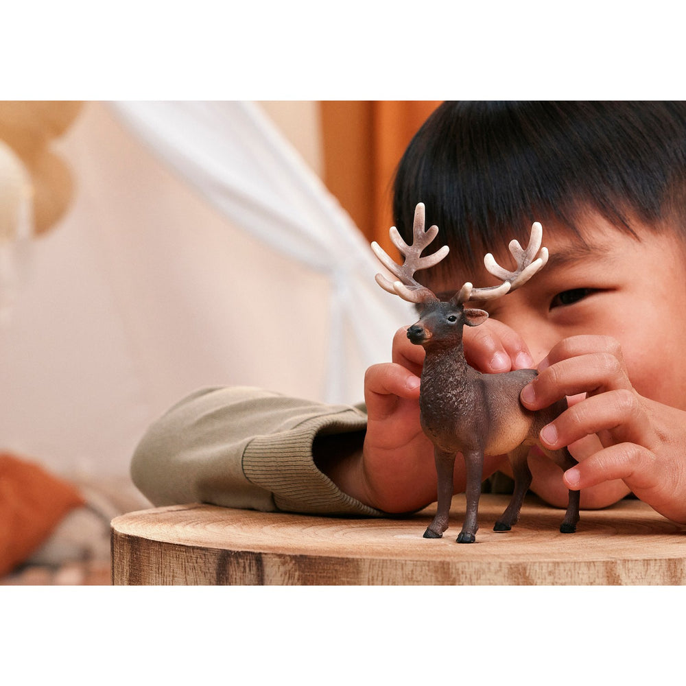 Køb Schleich Elg