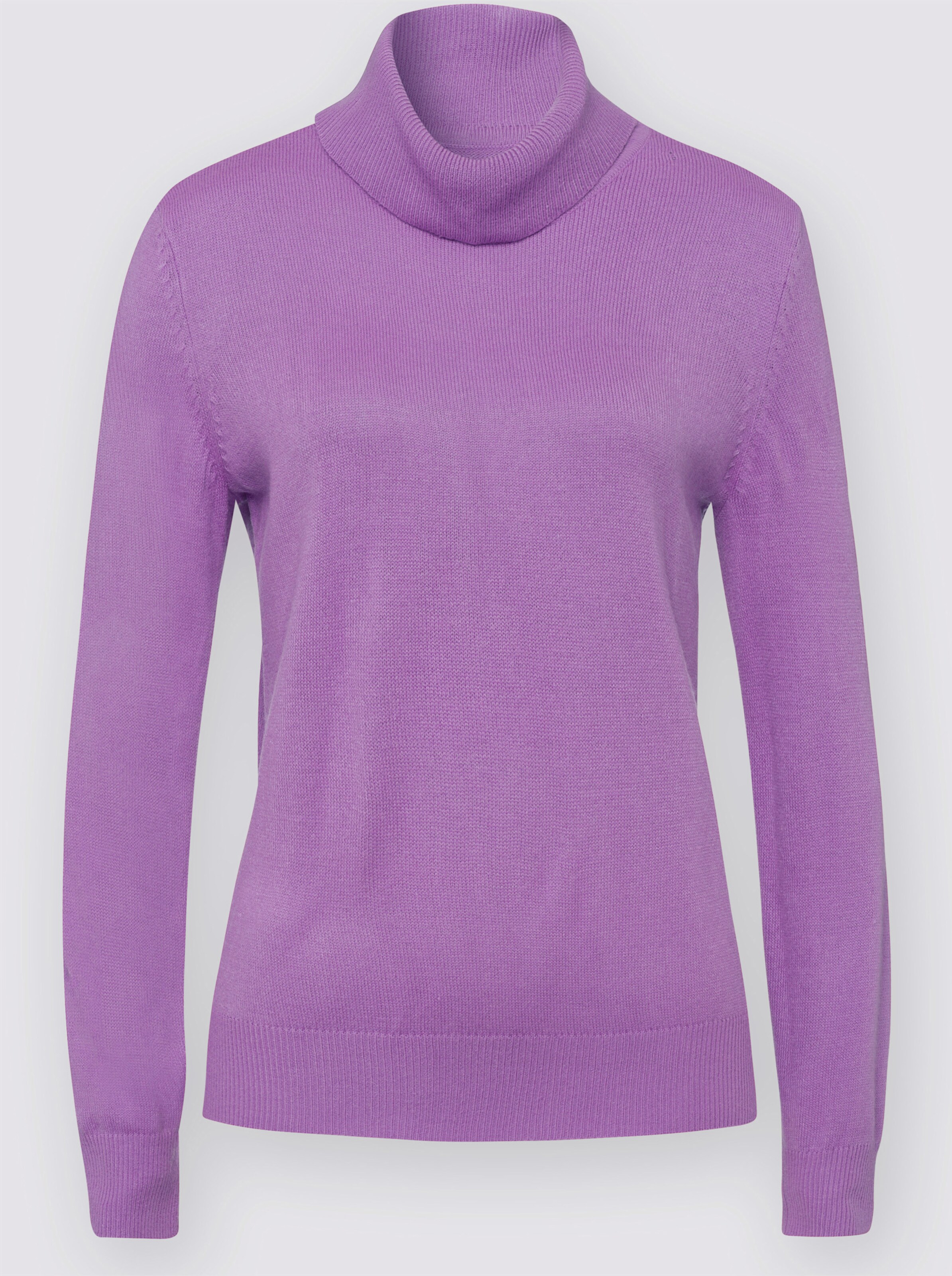 Rollkragenpullover