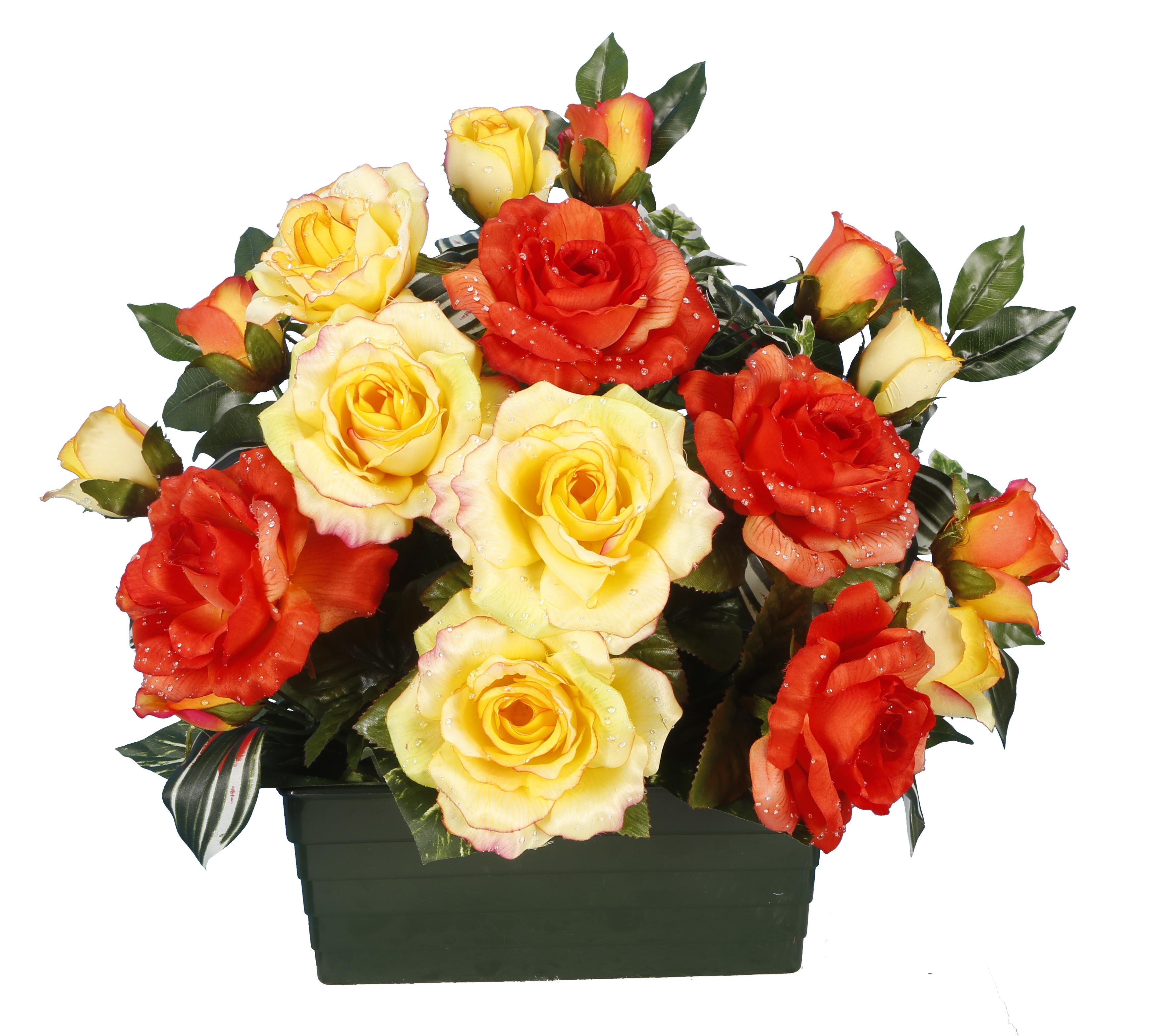 COUPE ROSE BOUTON