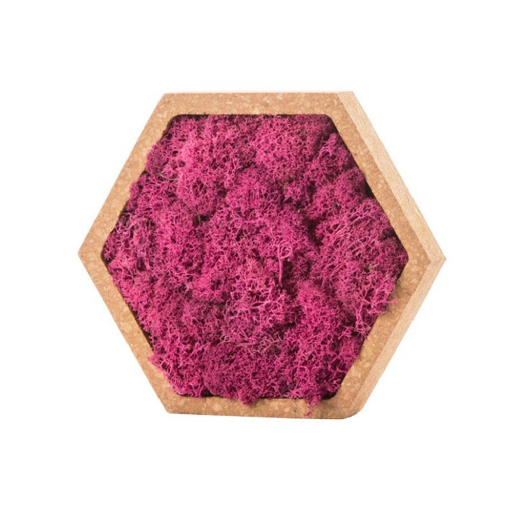 Stab lichen hexagonal rose 16 x 16 cm