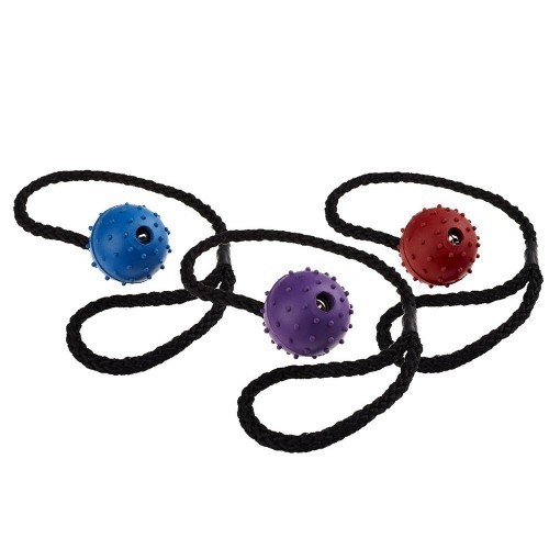 Bola com corda para cães, cores sortidas
