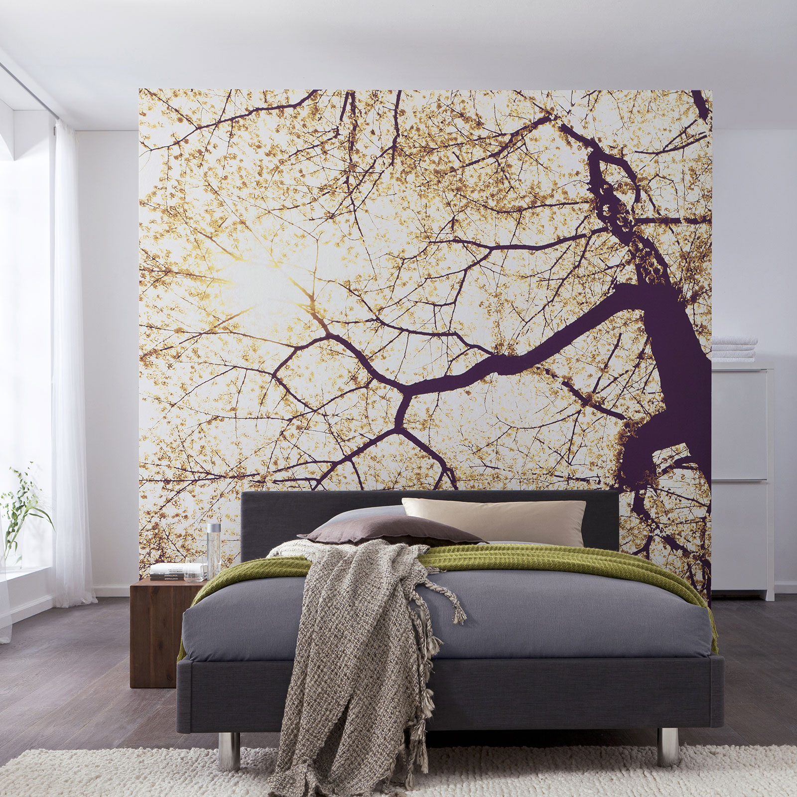 Vlies-Fototapete SUNSHINE - 250x250 cm