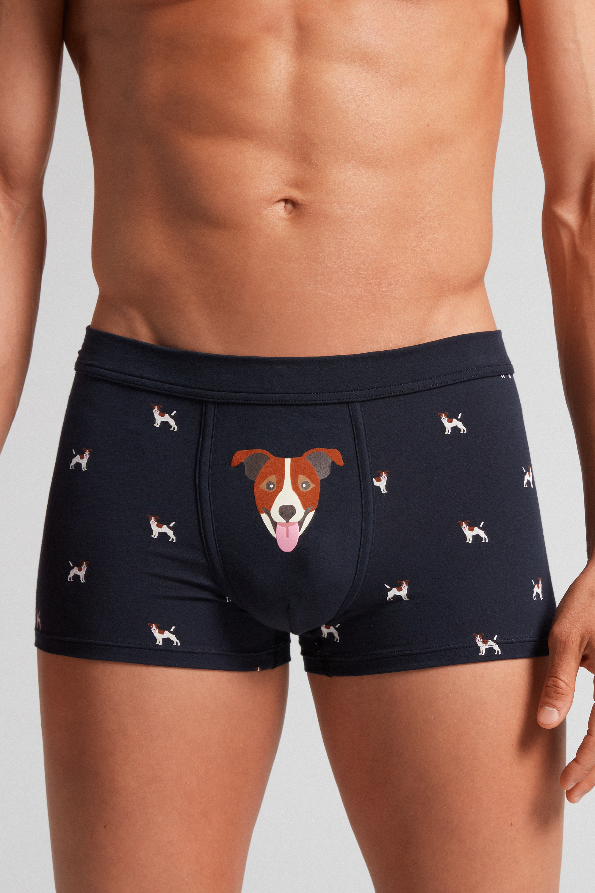Cuecas Boxer Jack Russell em Algodão Natural Fresco Supima®