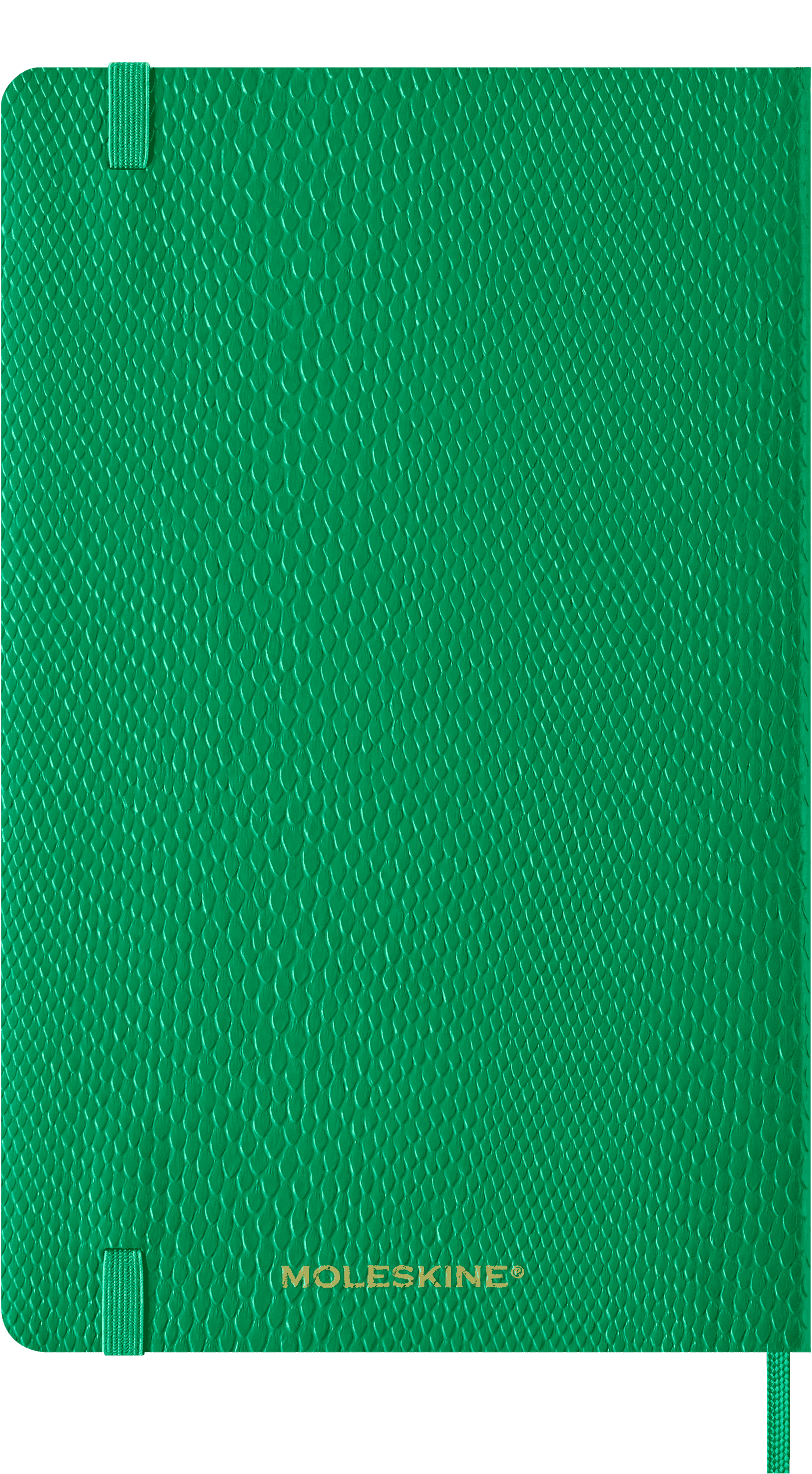 Precious & Ethical Planner 2025 Weekly, 12-Month, Vegan Cover