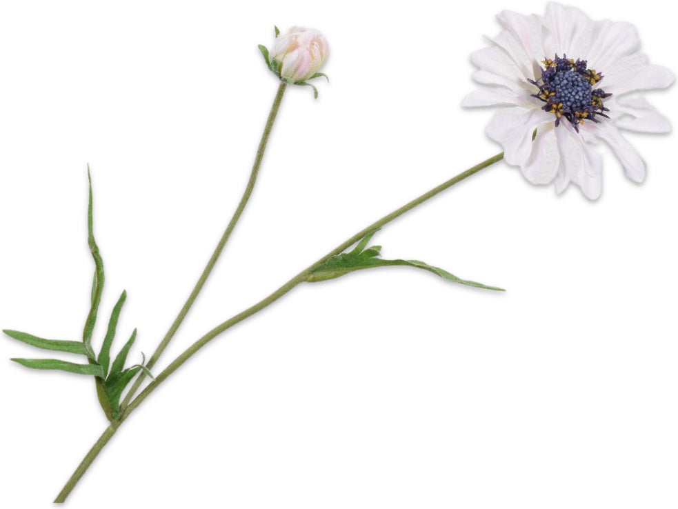 Silk-Ka kunstbloem Spaanse Margriet crème 55 cm