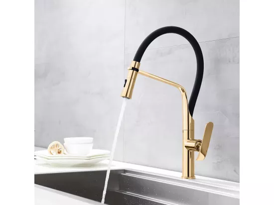 Robinet De Cuisine Rea Castor Black/Gold