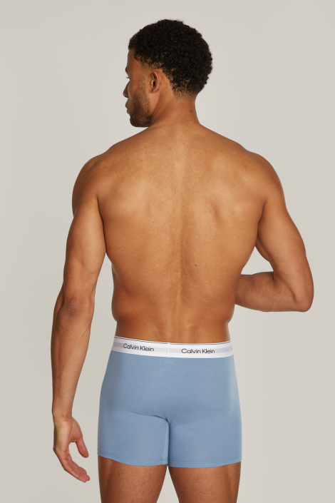 Calvin Klein multi color heren ondergoed