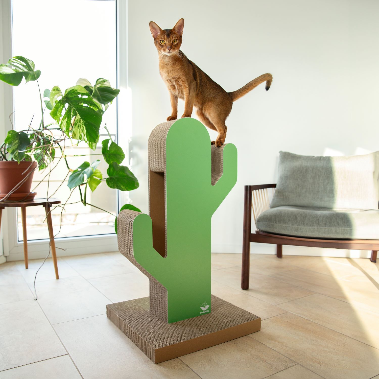 DoPetMe The Cactus Tower