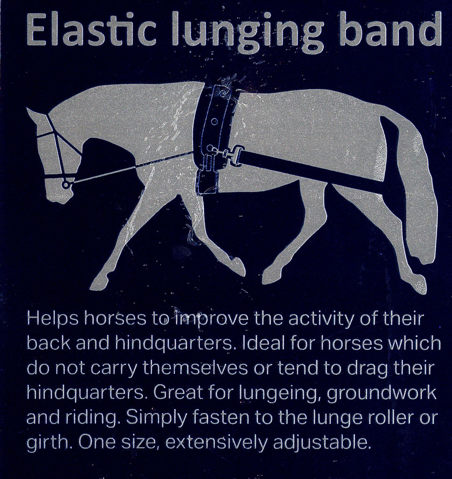 Harry`s Horse Longierband