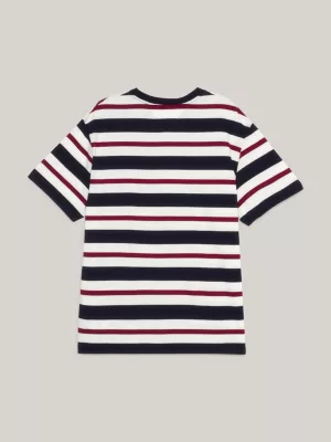 Camiseta Crest Global Stripe Archive Fit