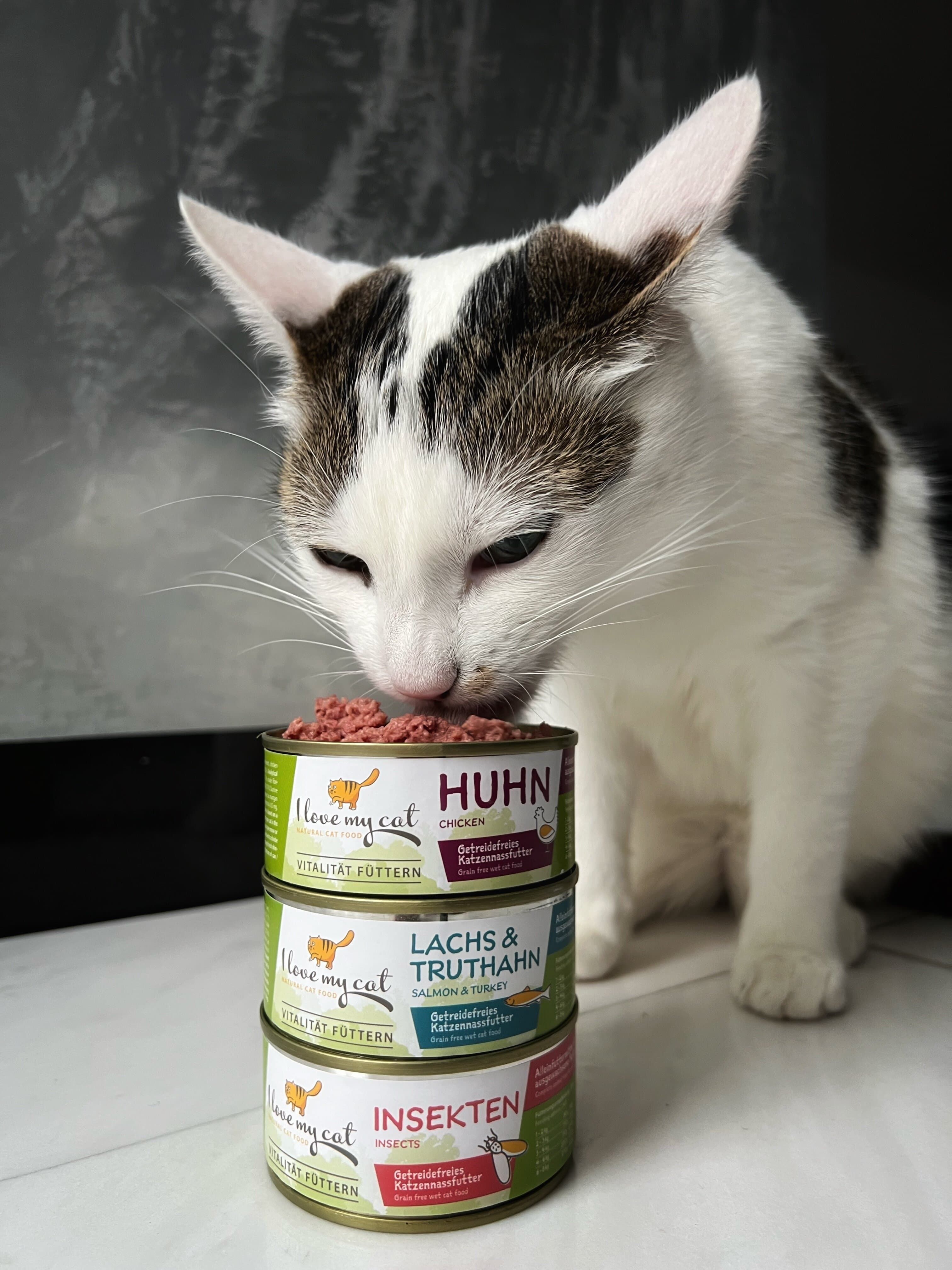 I love my cat Katzenfutter Nass mit Insekten
