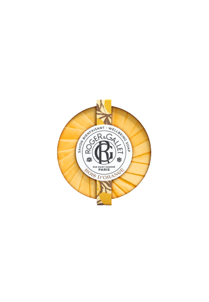 R G Bois Orange Sab Viagem 100 G