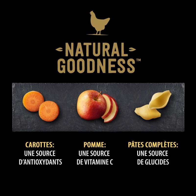 Cesar Natural Goodness pour chien
