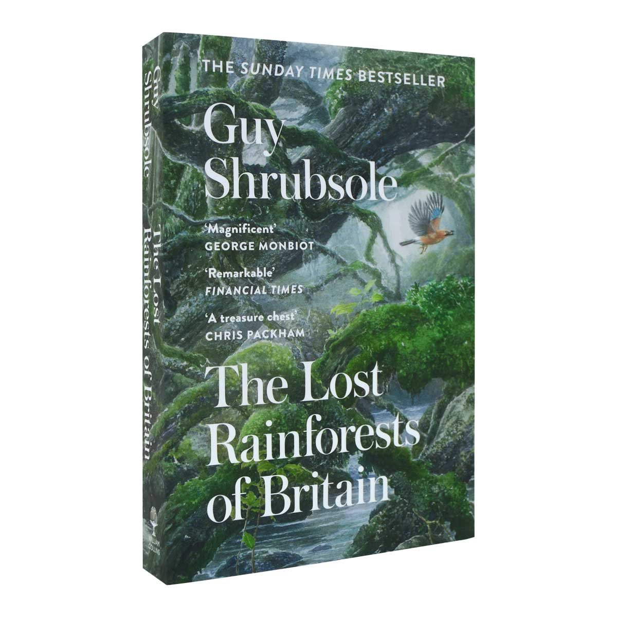 The Lost Rainforests of Britain (Paperback)